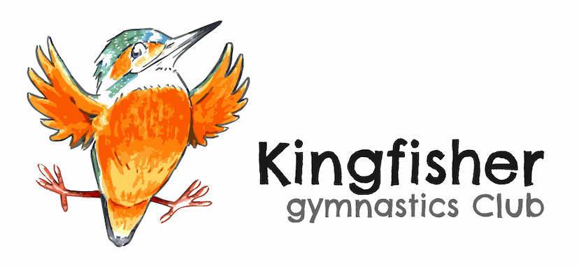 Kingfisher Logo